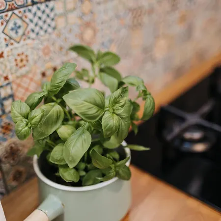 Apartment Ice Next To The Wawel Castle Free Parking Two Cars Krakow