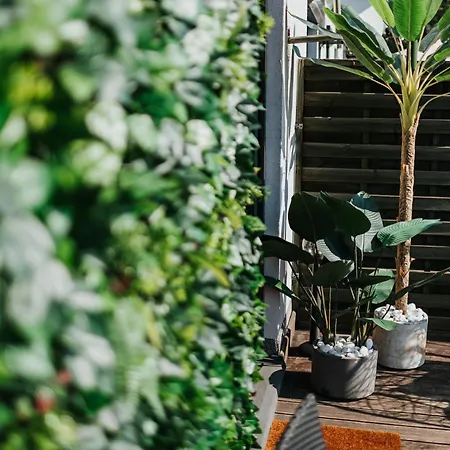 Ice Next To The Wawel Castle Free Parking Two Cars Krakau